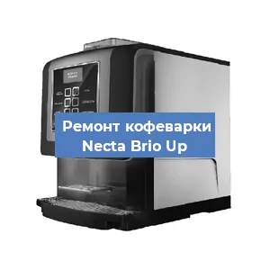 Замена термостата на кофемашине Necta Brio Up в Москве
